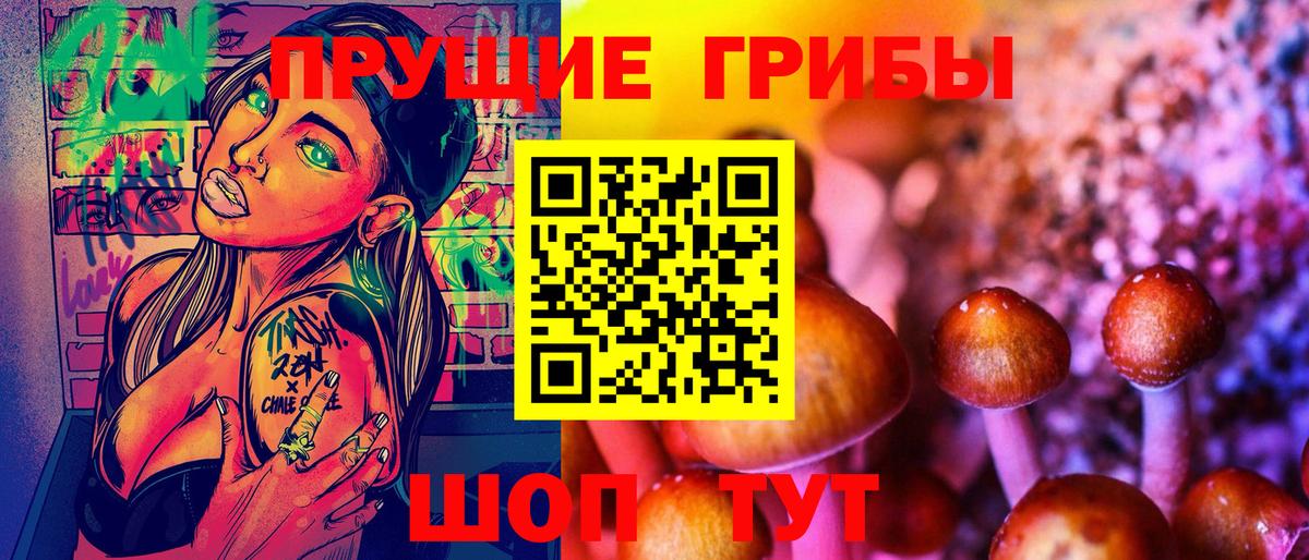 Псилоцибиновые грибы Psilocybine cubensis Советский